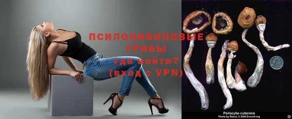 спайс Алзамай