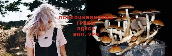 спайс Алзамай