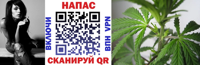 гидра ссылки  где купить наркоту  Волхов  Шишки марихуана Amnesia 